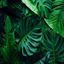 victorlan220 comment